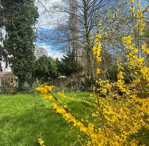 2 Schlafenzimmer 5 Betten Lejlighed Duisburg